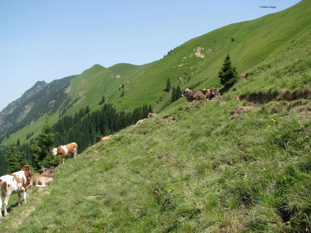 Mountain Hostel Оберстдорф Екстер'єр фото